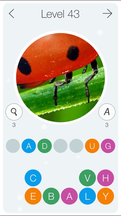 Guess the Pic! 2 ~ Close up Photo Quiz