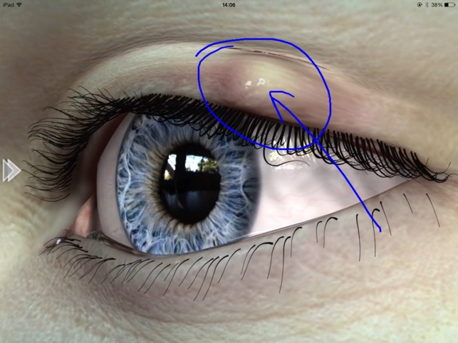 EyeDraw(圖4)-速報App