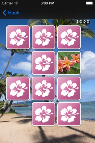 Hawaii Card Game screenshot 2