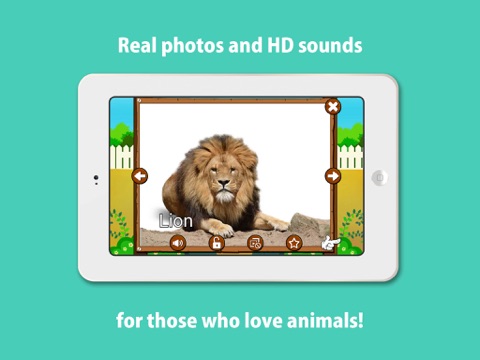 Animal sounds and pictures, hear jungle sound in Kids zoo, Petting zoo with real images and sound iPad screenshot 2 - Education app
