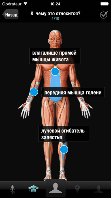 Виртуальное человеческое телоのおすすめ画像1