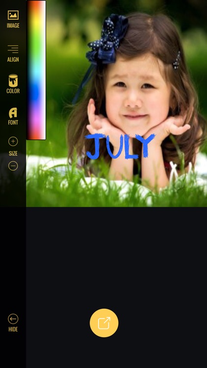 Text on Pic