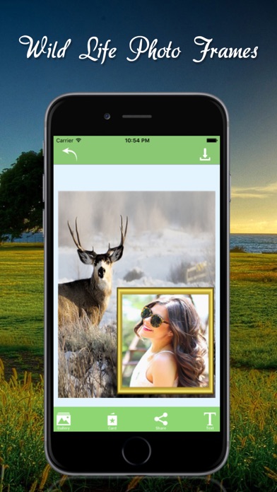 How to cancel & delete Wildlife Photo Frames Deluxe from iphone & ipad 4