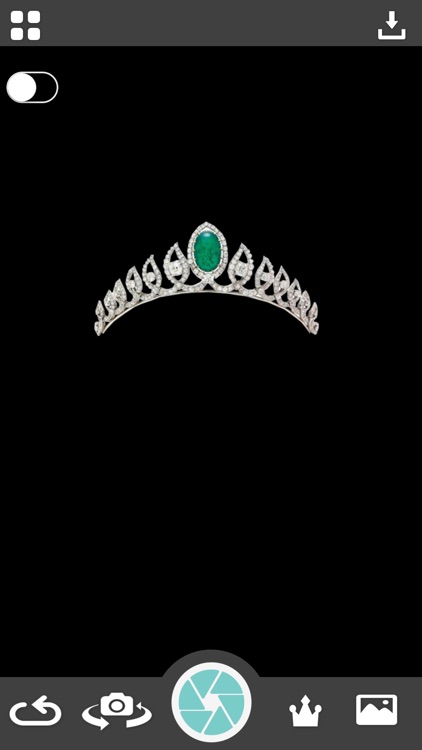 Crown Photo Montage screenshot-3