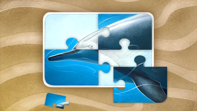 Bichos do Mar - Biomar screenshot-3