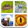 Зоркий глаз - iPadアプリ