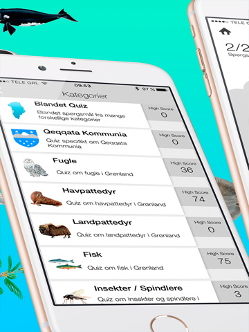 Screenshot #5 pour Greenland Quiz