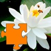 Pro Flowers Puzzle