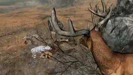 Game screenshot Life Of Deer hack