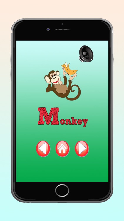 Kindergarten - ABC Alphabet Learning The Best Kids English For Preschool Free