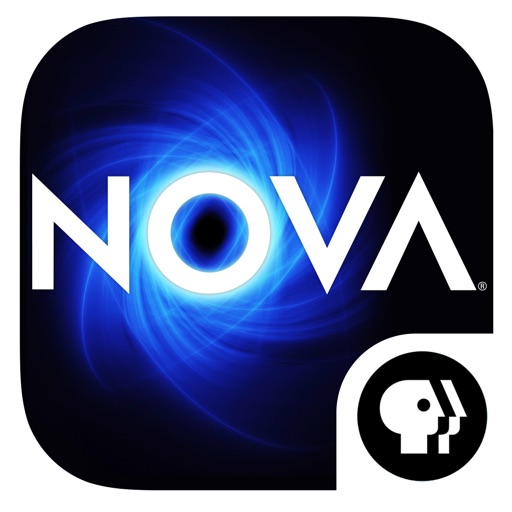 NOVA Black Holes