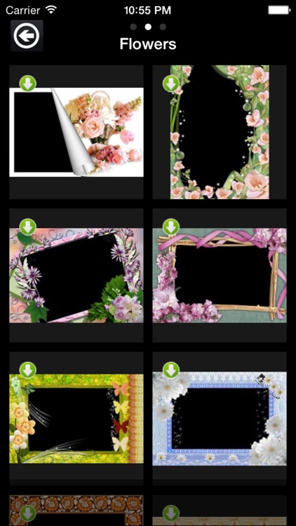 Flowers Frames Plus