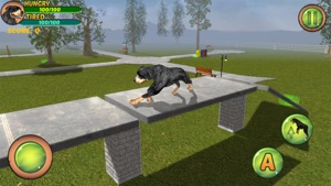 Rottweiler Dog Life Simulator screenshot #3 for iPhone