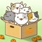 Pack the tangerine boxes full with cute cats