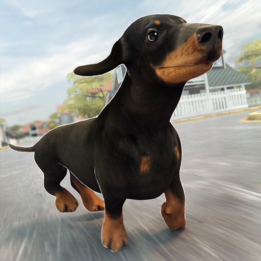 Funny Doggy | Dog Running Training Simulator Game for Free icon