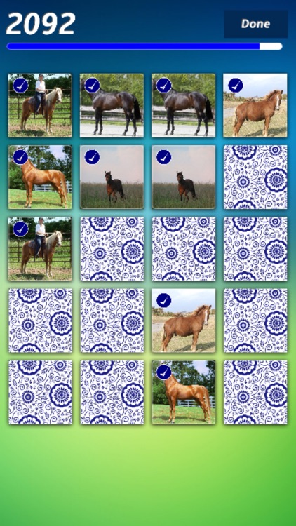 Horses Match Game by Dana Zarina