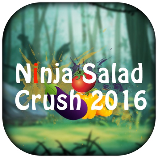 Ninja Salad Crush 2016 Icon