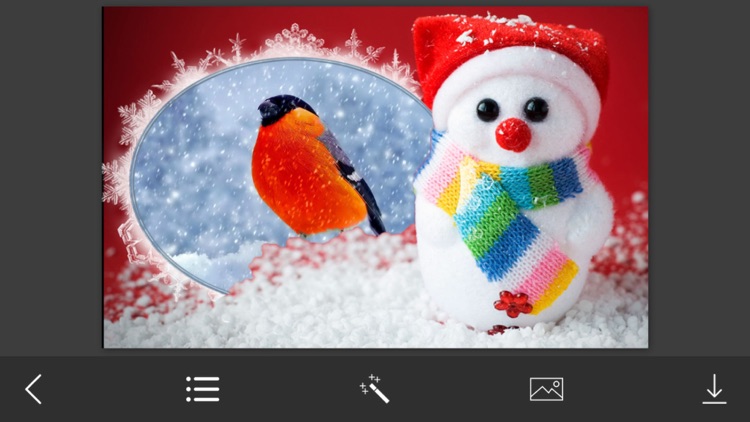 Snow Photo Frame - Art Photography & mega Frames