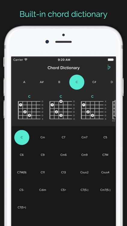 Riffr - Guitar Tabs, Chords and Lessons