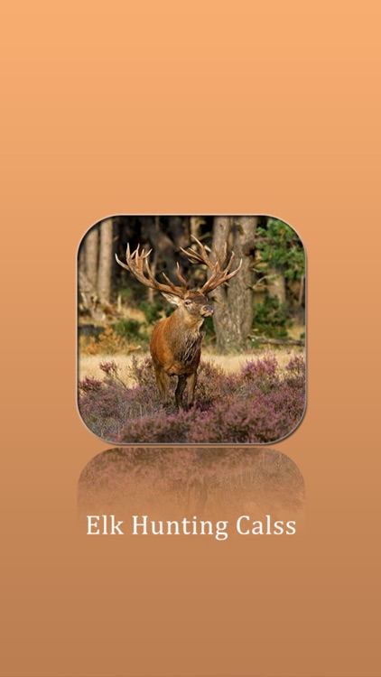 Elk Hunting Calls!