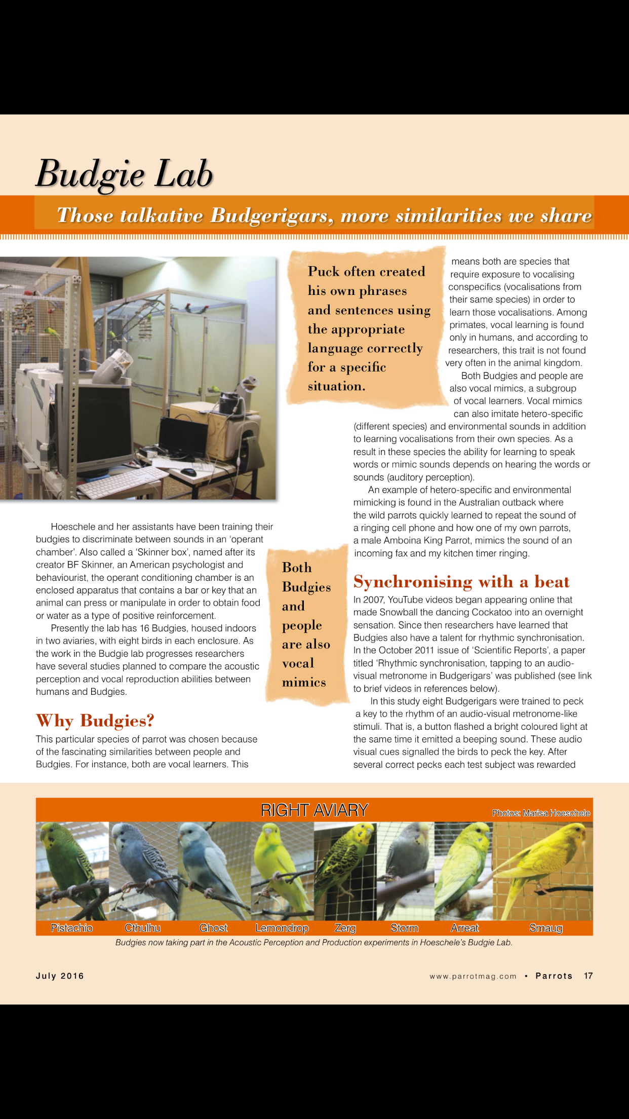 Parrots magazine