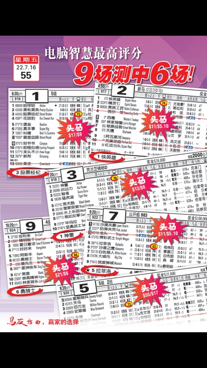 Punters' Way (Chinese) 马友指南