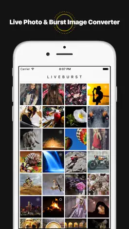 Game screenshot LiveBurst - Animate Burst Photos, Live to GIF Converter mod apk