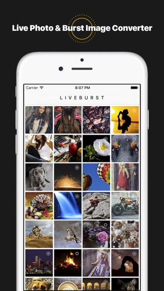 LiveBurst - Animate Burst Photos, Live to GIF Converterのおすすめ画像1