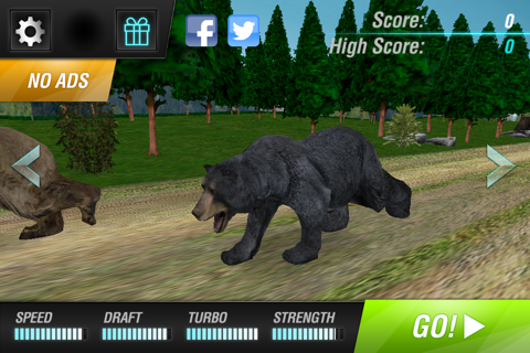 Bear Simulator 2016 . Wild Bears Simulation Games For Kids Free screenshot 3