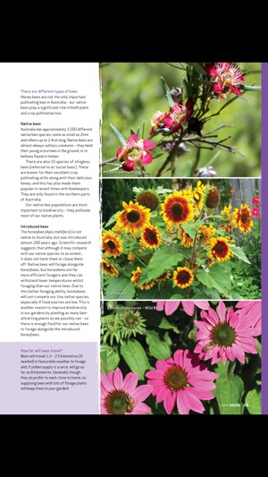 Home Grown Magazine(圖3)-速報App