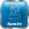FE P2P Cam- is a free application for remote surveillance, control and video recording from IP P2P FALCON EYE camera