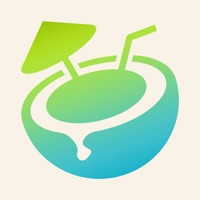 Vico - Insert Voice Comments into any Video