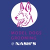 Model Dogs Grooming @ Nashs