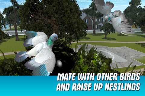 City Pigeon Simulator 3D screenshot 4