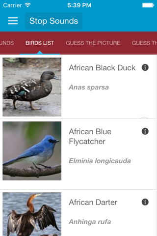African Birds and Sounds screenshot 2