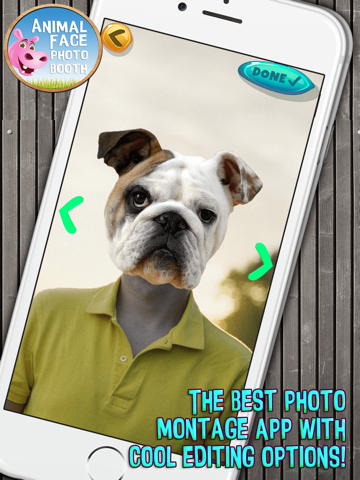Screenshot #5 pour Animal Visage Photomaton - Animaux Autocollants