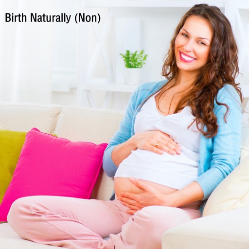 Birth Naturally (Non):Active Birth Guide