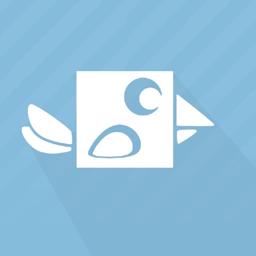 Impossible Geometry Bird Dash The Happy Endless Game