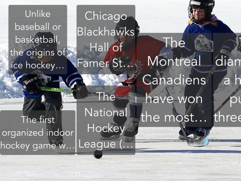 Screenshot #4 pour Hockey Trivia App