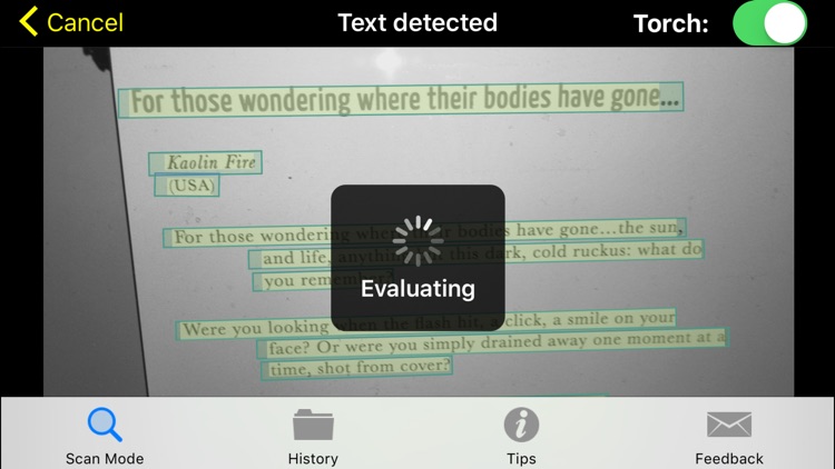 Text Detective