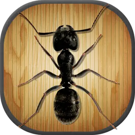 Kids Game: Tap Tap Ants Cheats