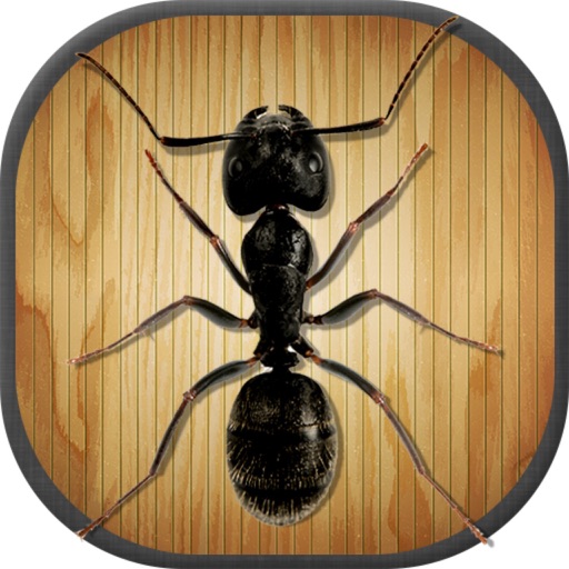 Kids Game: Tap Tap Ants icon