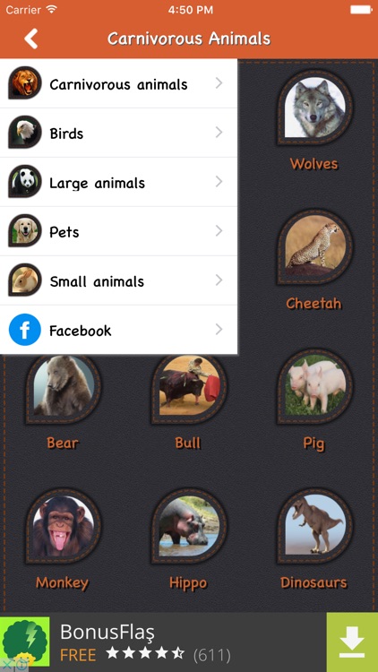 Animal Sounds with Pictures