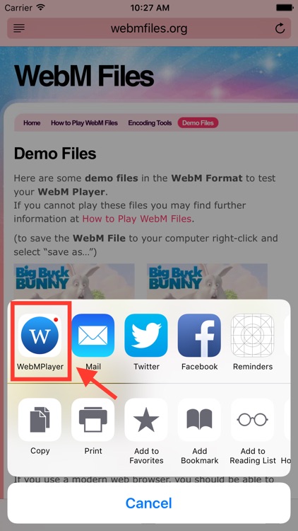 WebM Player Extension for iOS and Safari