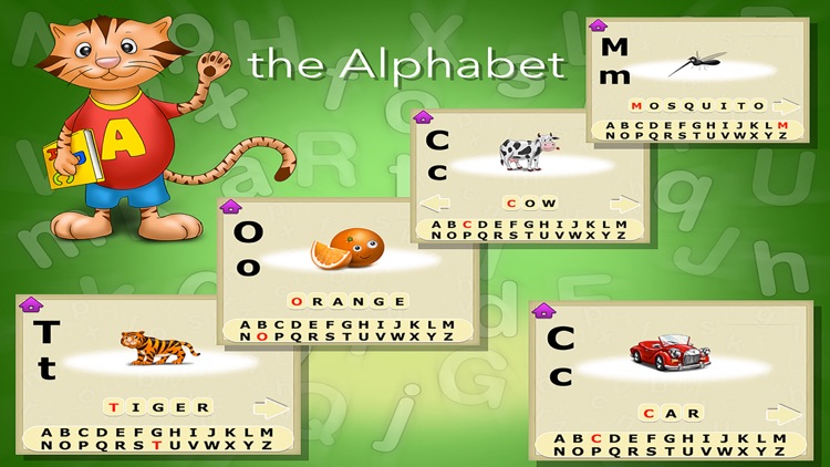 Learn to write the letters