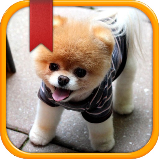 Dog Breed Quiz & Trivia App - All about Dogs 101 Guide for Animal Training and Types Name iOS App