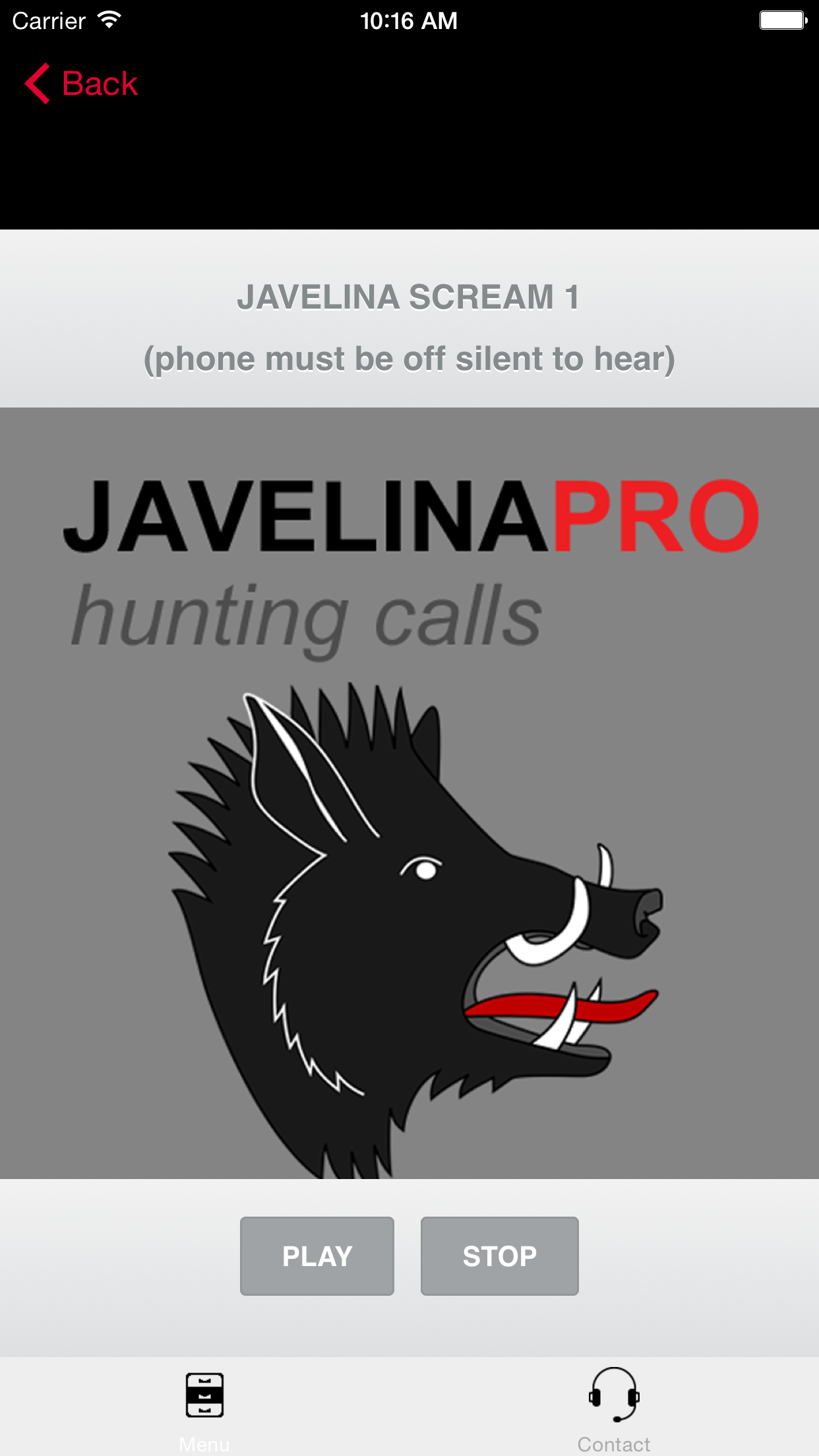 REAL Javelina Calls & Javelina Sounds to use as Hunting Calls
