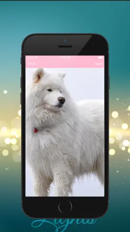 Game screenshot Dog HD Wallpaper hack