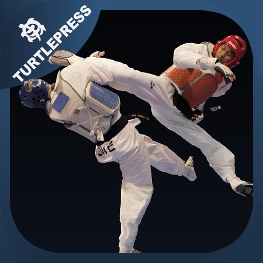 Taekwondo Sparring Skills icon