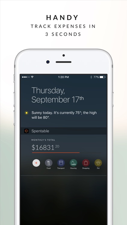 Spentable - Track your daily expense and savings screenshot-4